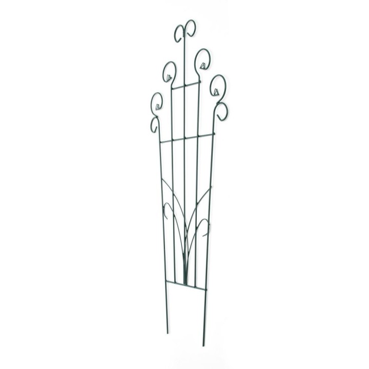Rankgitter Trient