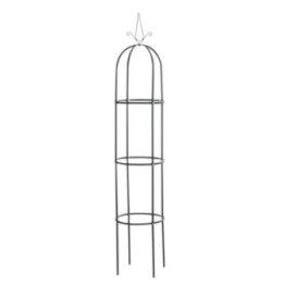Rosensäule Romantika V2