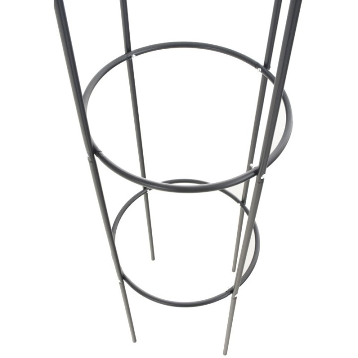 2er Set Rosensäule Romantika V2