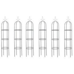 6er Set Rosensäule Romantika