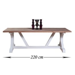 Tisch Geneva 220x100x78 indoor Teak/Mahagony-weiss