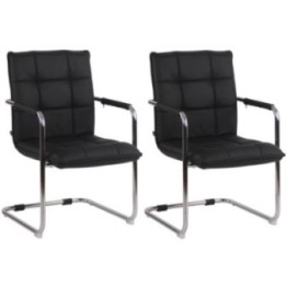 2er Set Stühle Gandia Echtleder chrom