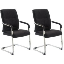 2er Set Freischwinger XL Anubis Stoff